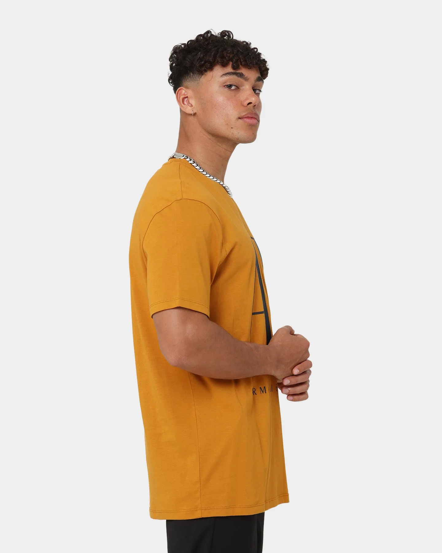 Armani Exchange Armani Exchange T-Shirt Buckthorn Brown