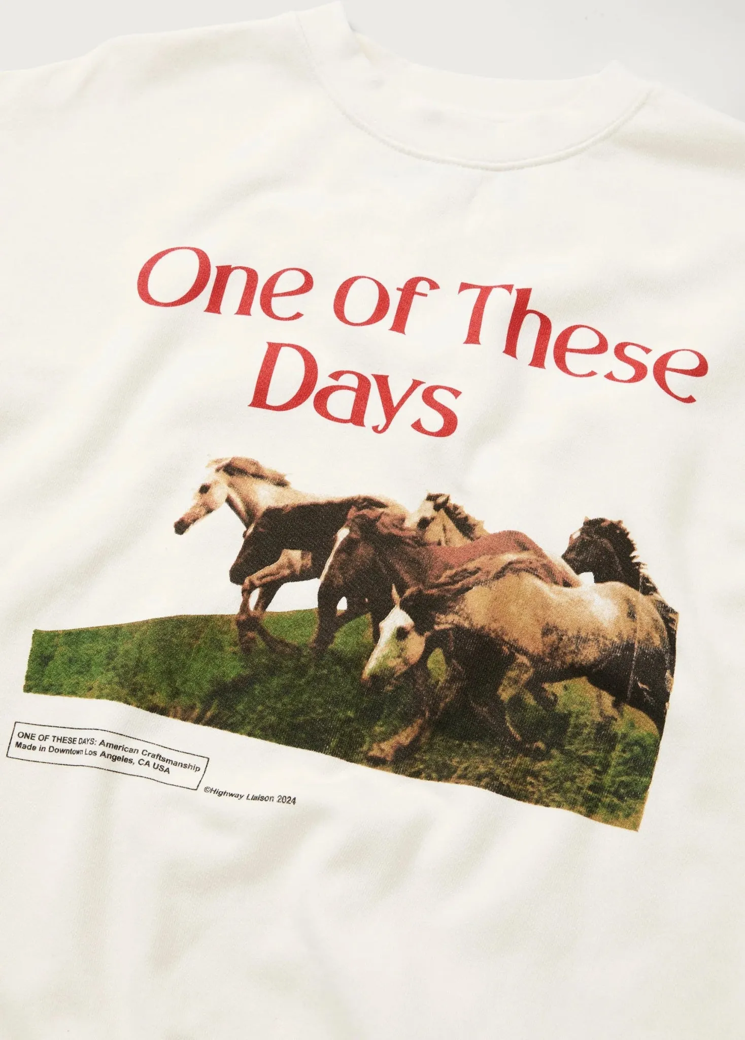 One of These Days - Wild Horses Crewneck in Bone