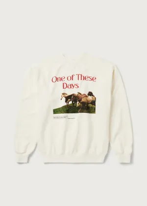 One of These Days - Wild Horses Crewneck in Bone