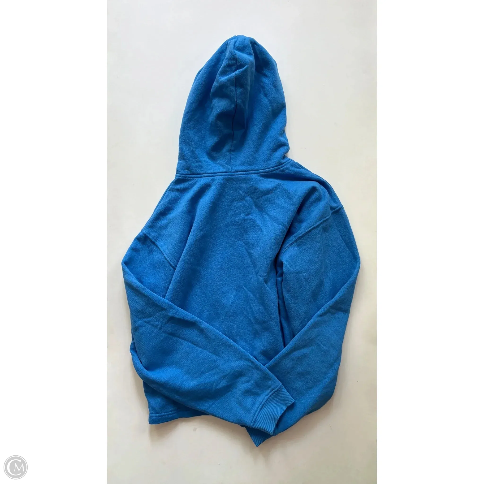 Sweatshirt Hoodie By The North Face In Blue, Size: L