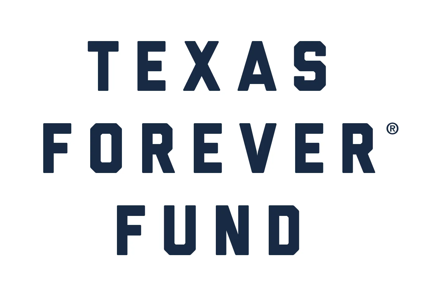 'TEXAS FOREVER® Kids T-Shirt - Grey   Navy